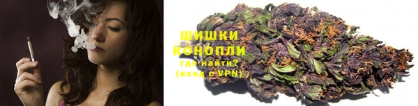 дмт Белокуриха