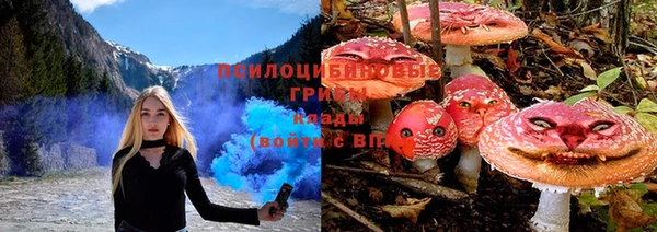 дмт Белокуриха