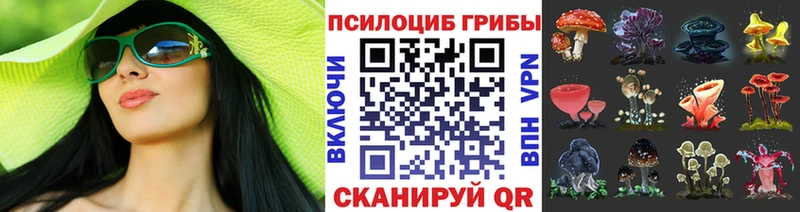Псилоцибиновые грибы мухоморы  закладки  Мончегорск 
