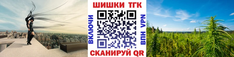 дарк нет как зайти  Мончегорск  Конопля сатива 